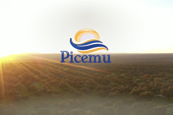 PICEMU